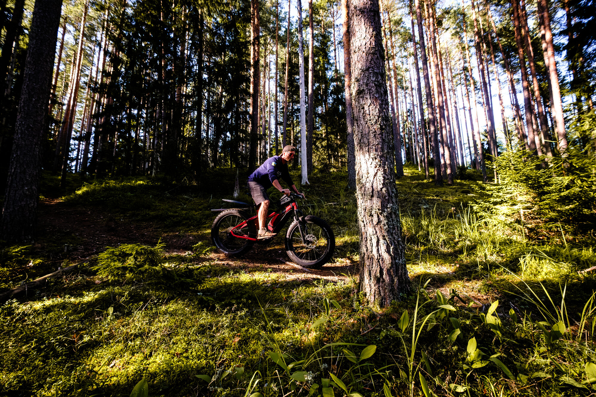 E-fatbike matk metsas, Kõrvemaa