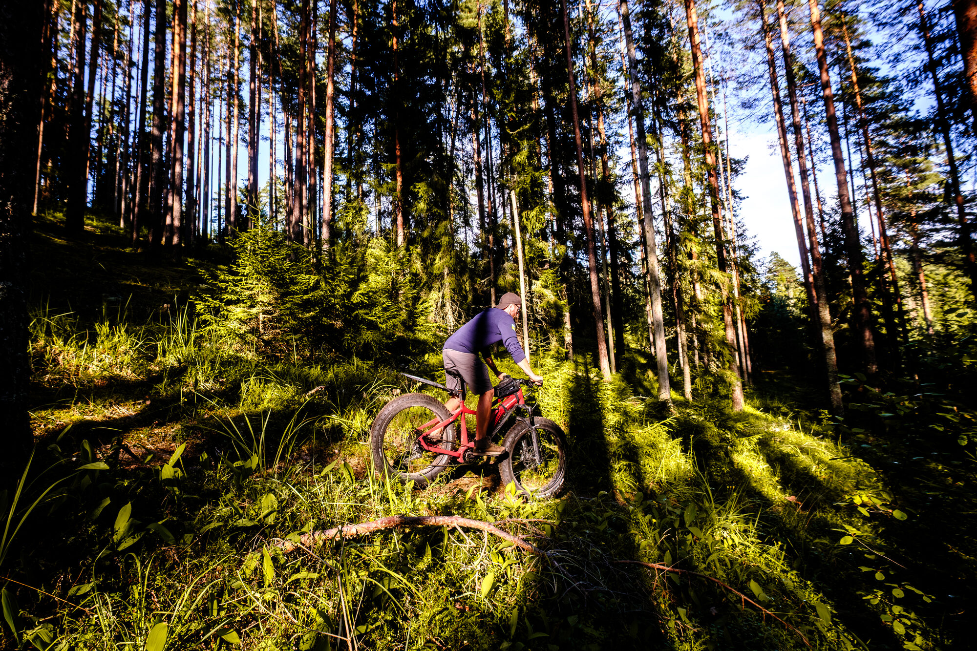 E-fatbike matk, valguskiired metsas, Tunturi e-Max 2026