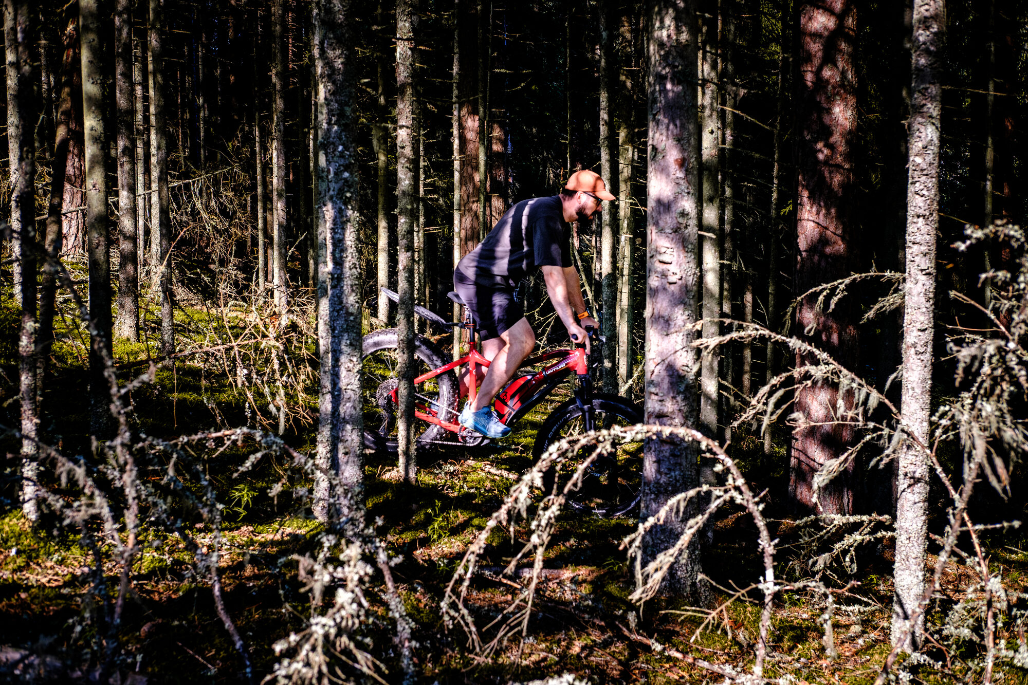 E-fatbike matk