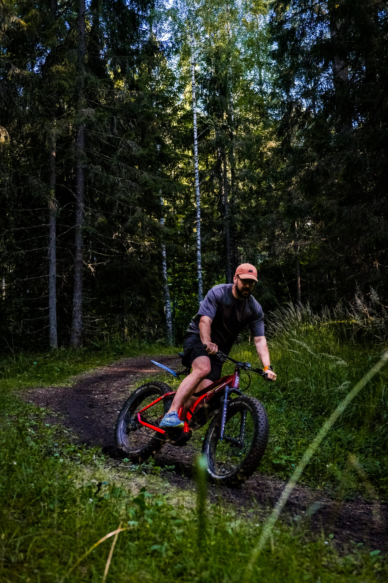 E-fatbike matk metsateel, Kõrvemaa
