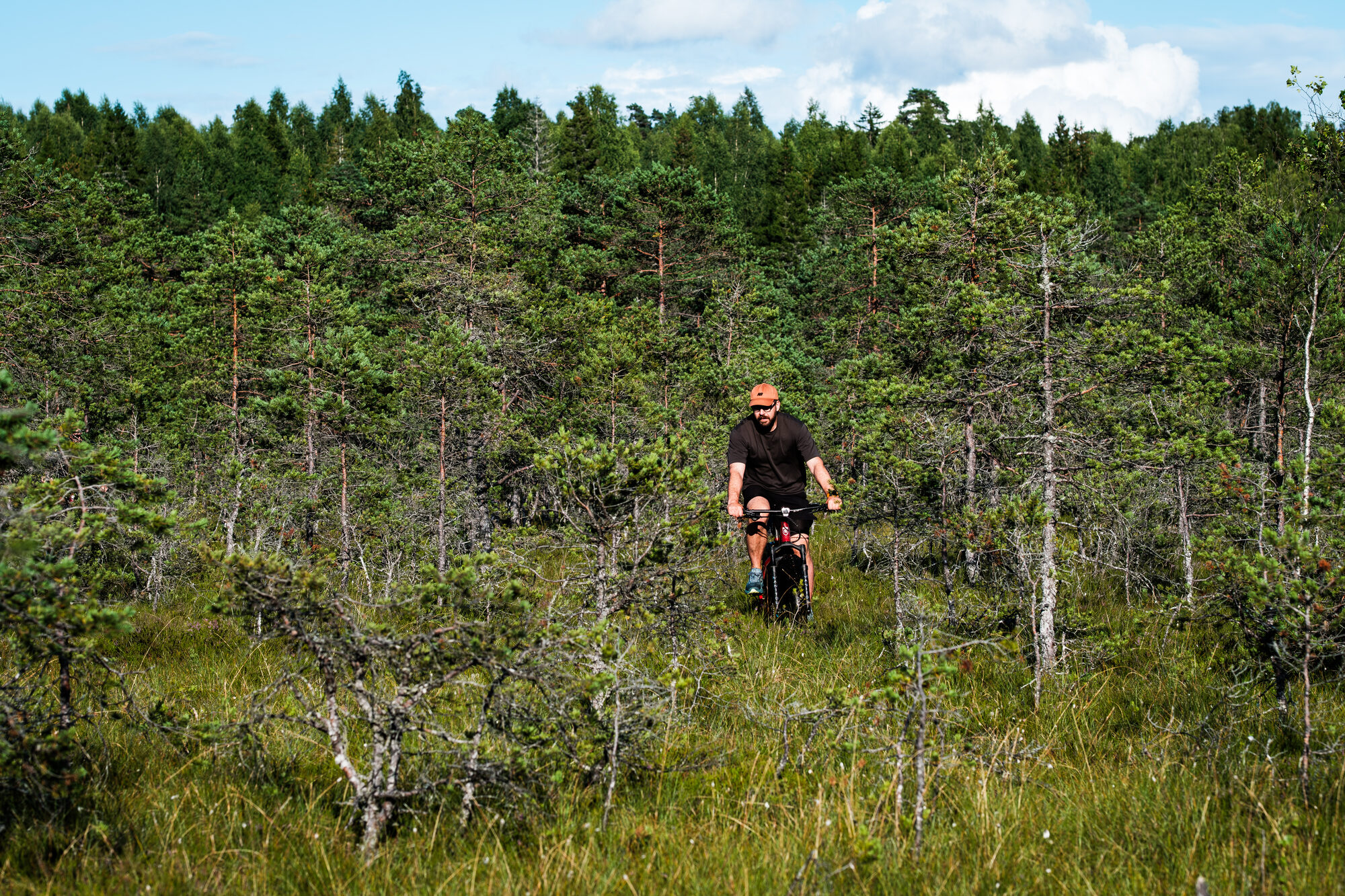 E-fatbike matk, avatud raba