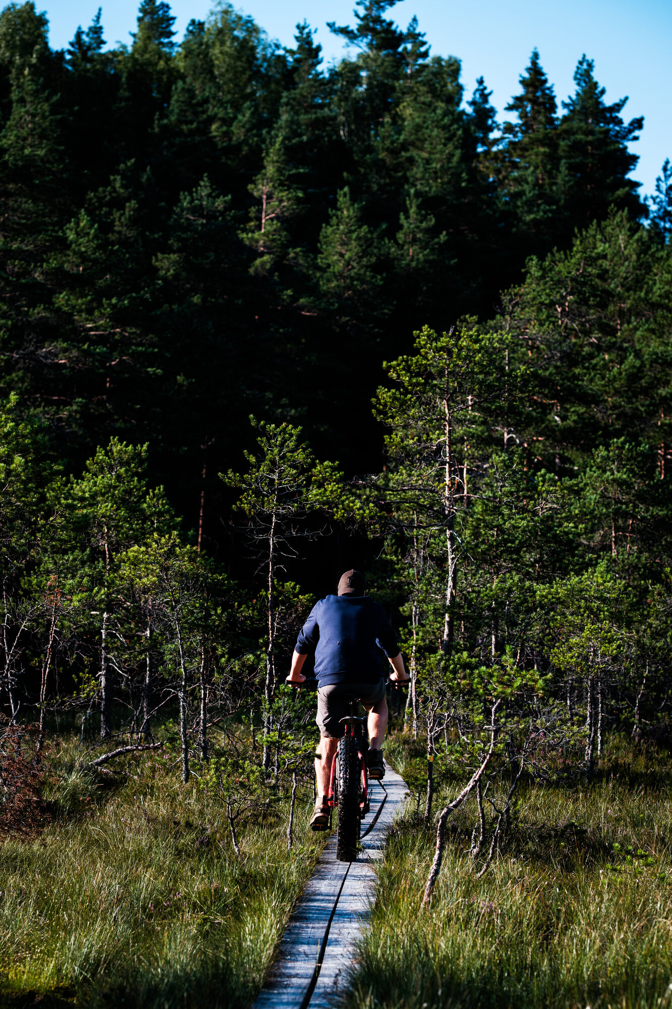 E-fatbike matk laudteel läbi Kõrvemaa raba