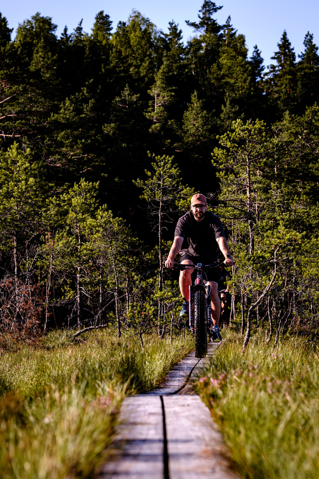 E-fatbike matk, õhtuvalgus