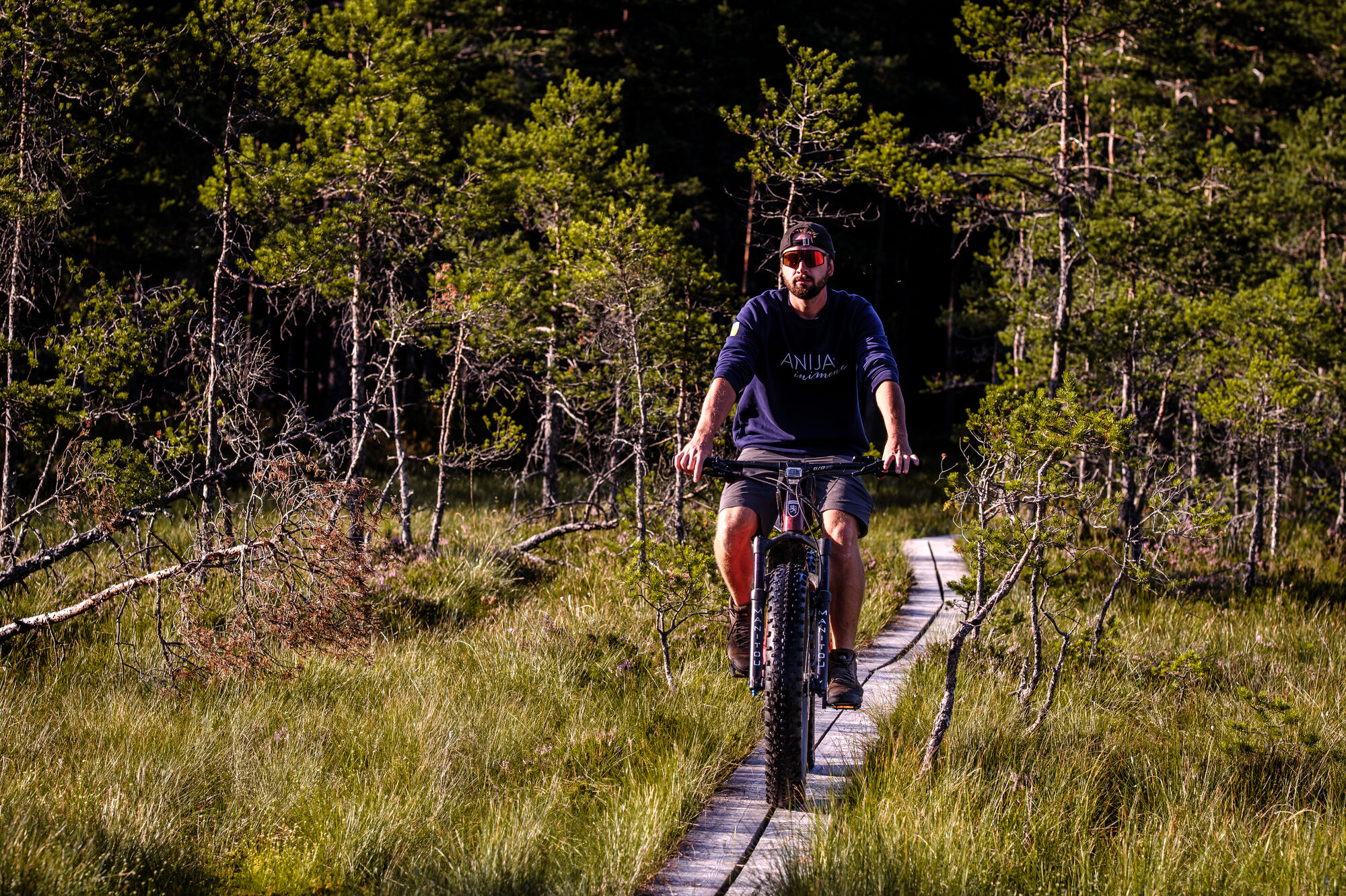 E-fatbike matk, laudtee läbi raba